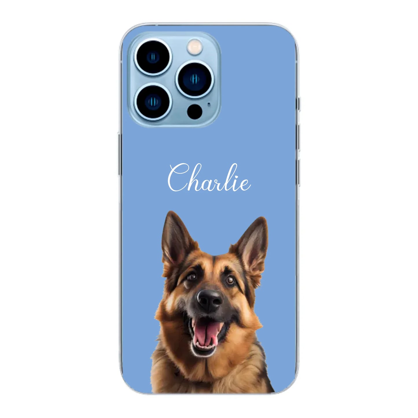 iphone 13 pro -Max base